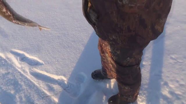 Рыбалка в Марте. Ловля щуки на блесну. смотреть онлайн