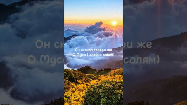 Что такое, Ля иляха илляллах #islam смотреть онлайн