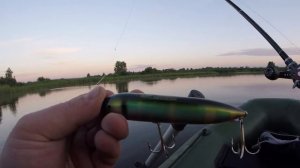 Ловля Щуки на Поппер! Ловля Щуки на Мелководье!