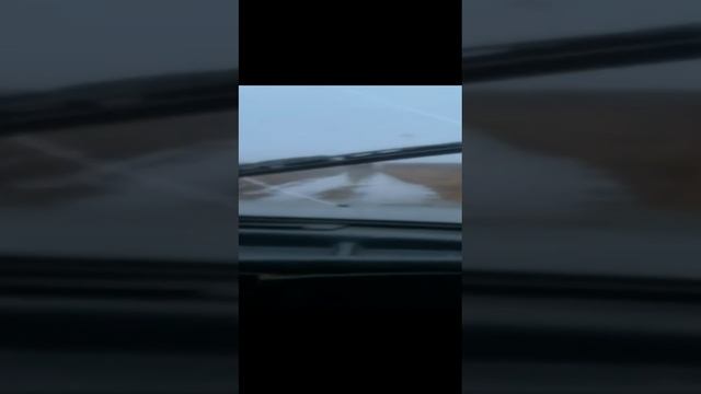 Возвращение домой по лугу смотреть онлайн
