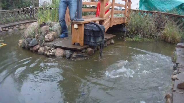 Рыбалка в своем собственном пруду смотреть онлайн