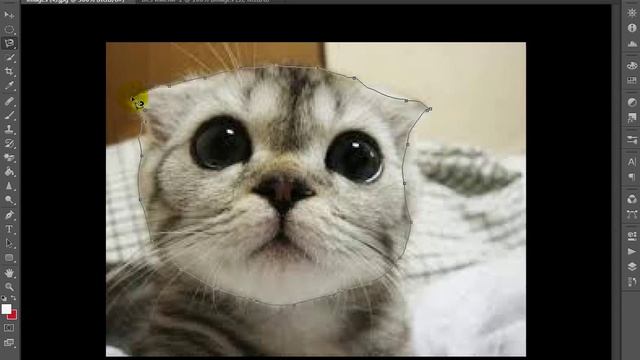 как нарезать фото в фотошопе смотреть онлайн