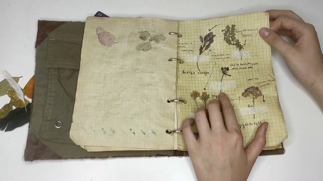 ОБЗОР на наш старый ?травник?