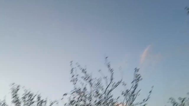 ШОШИЛИНЧ: 63° ИССИК 31-МАЙ-1-2-ИЮН ДИККАТ УЗГЕДРОМИД ОГОХЛАНТИРАДИ смотреть онлайн