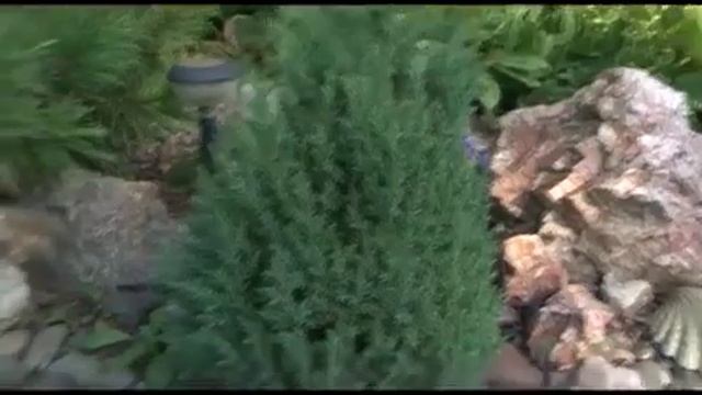 Приемы ландшафтного дизайна.3 минуты о загородной жизни от 07 09 16 ТК. Енисей смотреть онлайн