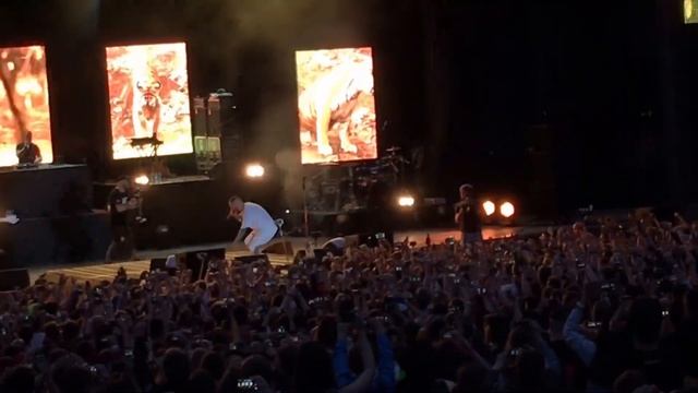L'One - Тигр (live) смотреть онлайн