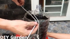 Легкий способ вырастить томатный завод в пластиковых подвесных бутылках | Выращивание томатов из сем