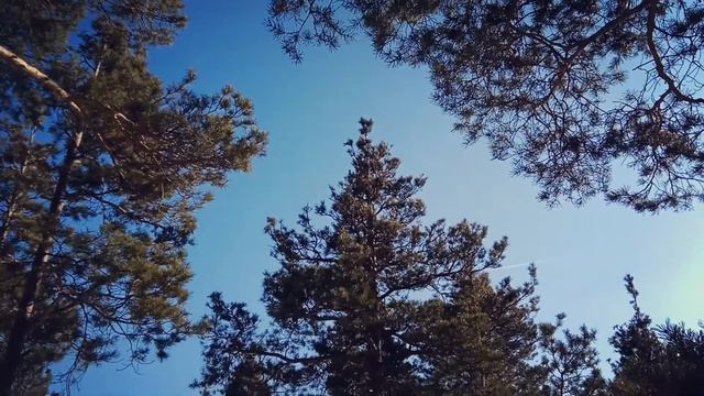 Одиночный ПВД на скалы Петра Гронского. Март 2018 г. смотреть онлайн