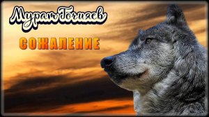 Мурат Гочияев - Сожаление | Шансон Юга