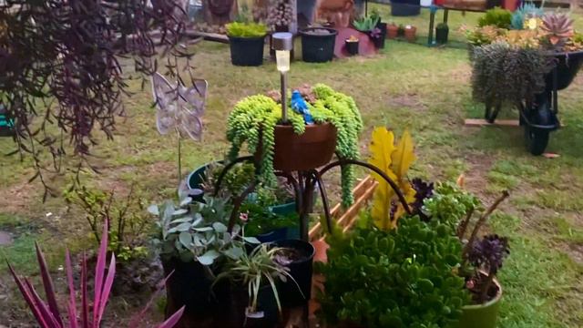 HEAVY RAIN AGAIN #kabayanamor #plantita смотреть онлайн