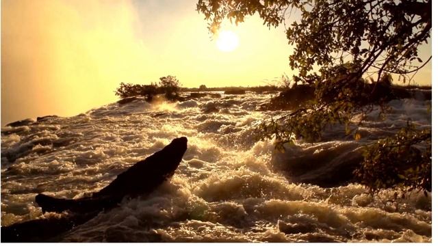 Spectacular Victoria Falls. Journey into a Wonderful World смотреть онлайн