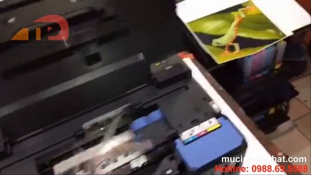 Máy in Phun màu Canon Pixma G1000 In siêu nhanh siêu đẹp смотреть онлайн