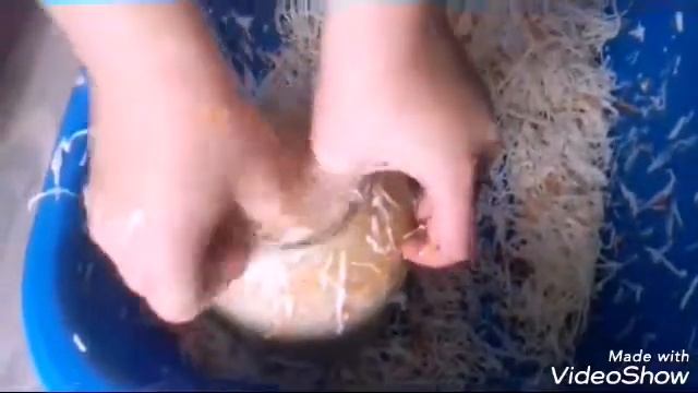 Самый лучший рецепт капусты на зиму смотреть онлайн