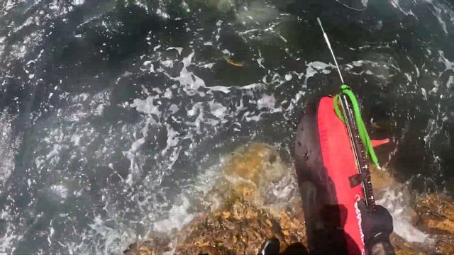 Spearfishing Smitswinkel Bay! | Diving with my brothers смотреть онлайн