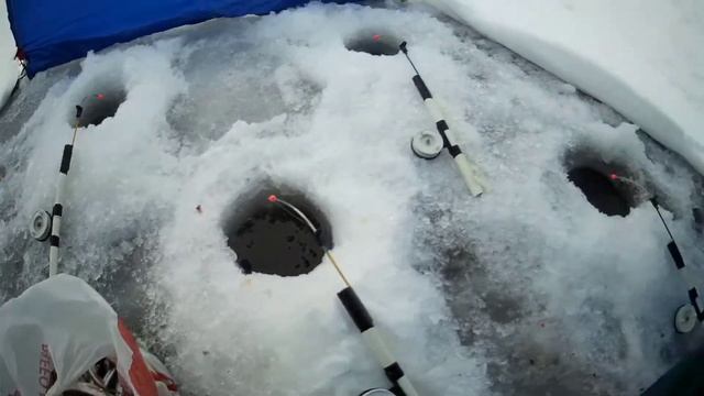 Ловля корюшки 30 января южная дамба смотреть онлайн