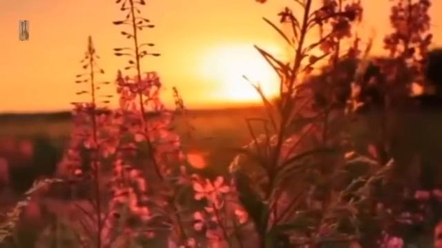 Владимир Ивашов Над окошком месяц смотреть онлайн