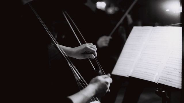 Luigi Boccherini - Quintetto Op. 29 Nr. 6 in G Minor, G. 318 - I. Allegro moderato assai смотреть онлайн