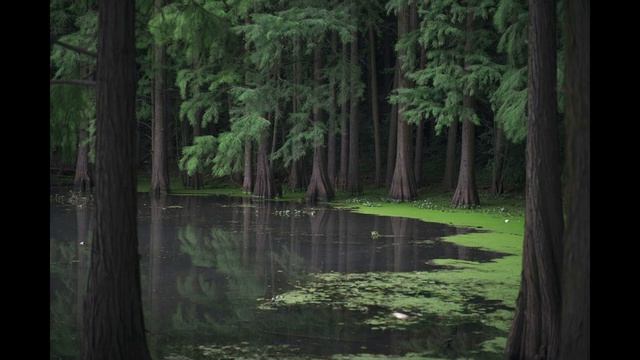 Yangiyul Story (Uzbekistan) смотреть онлайн