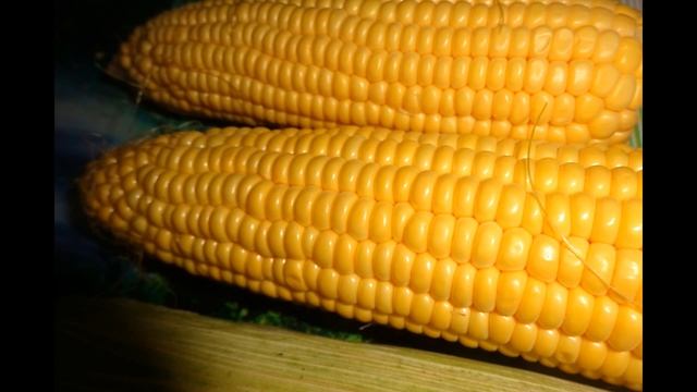 КУКУРУЗА Польза и противопоказания к употреблению кукурузы смотреть онлайн