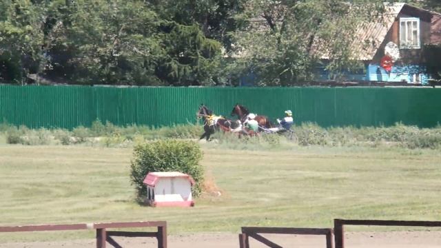 30.07.2022г. Абакан Приз Крепыша Для лошадей Орловской Рысистой породы 4 -х лет и старше 2400м смотреть онлайн