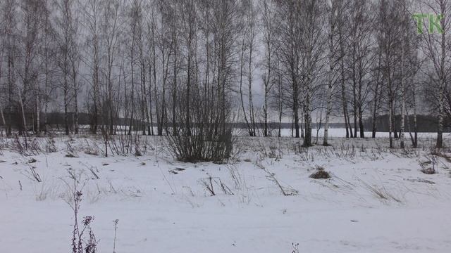 Тест камуфляжа ЕМР Арктика. Зима / Camouflage test EMR Arctic. Winter смотреть онлайн