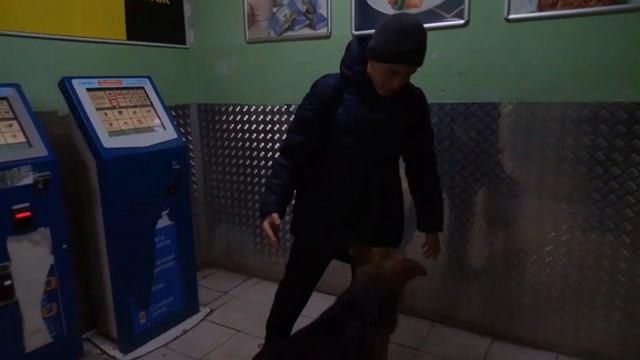 Уроки Флекса| ° от МF смотреть онлайн