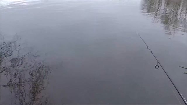 покупка и обкатка Фаворит Эксклюзив 682 смотреть онлайн