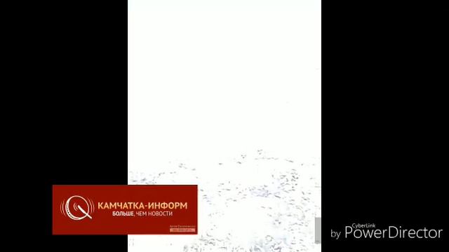 Фонтаны и реки поселка Красный на Камчатке смотреть онлайн