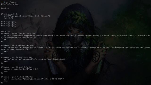 Vulnlab | Shinra: And So It Begins - SQLi, Command Injection & Hash Cracking смотреть онлайн