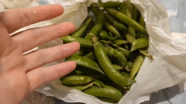 Вредина лайф/Ландыши/Караоке смотреть онлайн