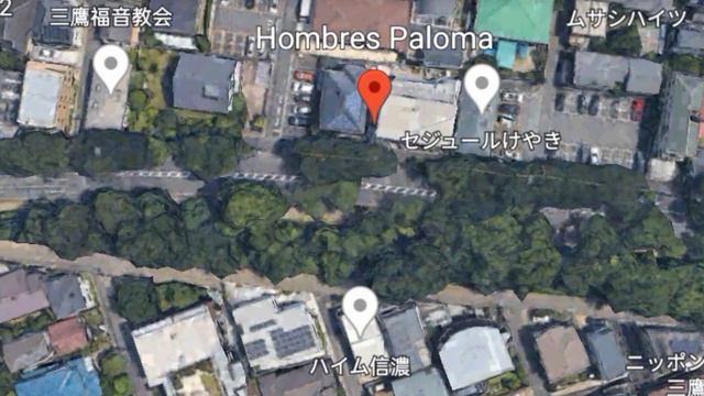🐦🐦how to Play Google Earth videos amazing chidiya girls #googleearthvideos смотреть онлайн