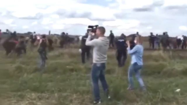 Венгерская журналистка издевалась над беженцами во время съемок смотреть онлайн