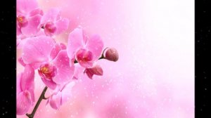 Притча о том, как Бог создавал Женщину