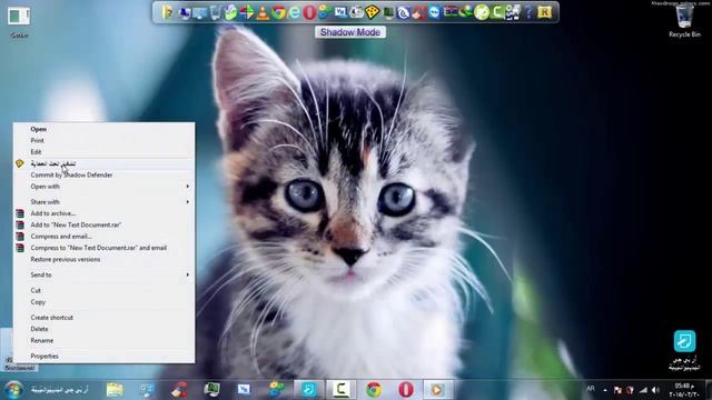 كشف التلغيم ببرنامج متصفح الويب المحمي смотреть онлайн