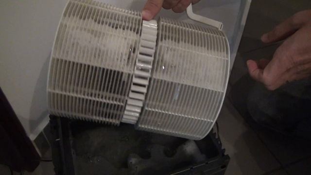 VENTA LW24 Plus - După Primele 15 Zile (www.buhnici.ro)