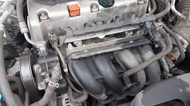 2010 Honda Accord #240129