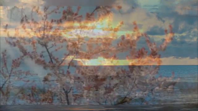 Когда болит душа. Музыка - Андрей Обидин (Волшеб-Ник), видео - Инна Скокова (Искусница) смотреть онлайн