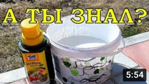 Наводим красоту на участке: СЕКРЕТ стойкой ПОБЕЛКИ, которая долго сохраняется☝