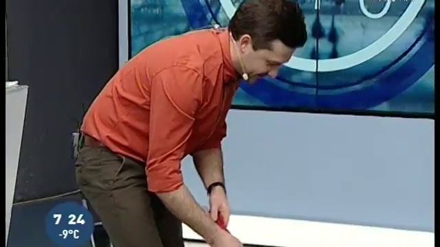 Новогодняя елка и собака смотреть онлайн