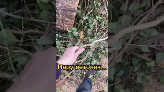 Обычный день флориста? смотреть онлайн