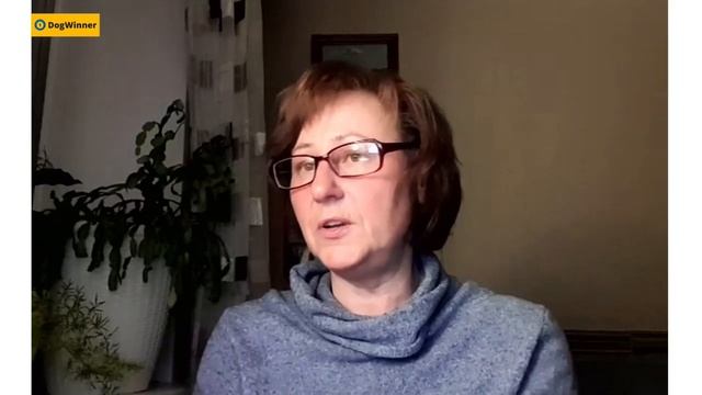 Можно ли начинать гулять со щенком на руках у хозяина? «Вопрос-ответ» с кинологом Татьяной Шаманово смотреть онлайн