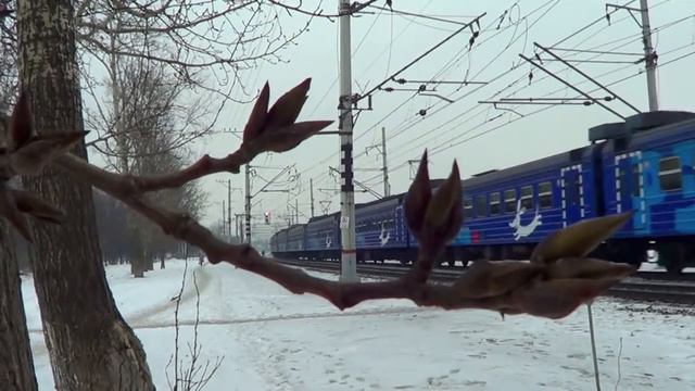 Электропоезд ЭД4м-0352 "Рэкс" смотреть онлайн