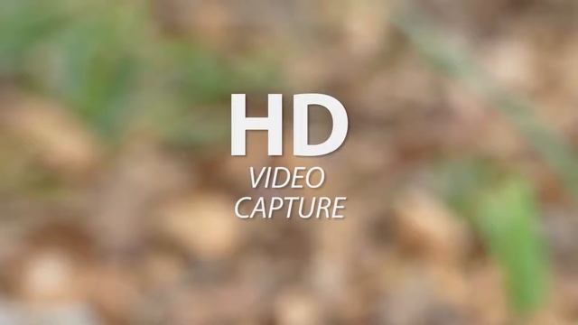 Canon 1100D Advertisement смотреть онлайн