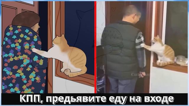 Самые Смешные Видео Животных + Рисунок к каждому и Смешные фразы коты собаки смотреть онлайн