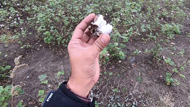 Hampi to Murudeshwar bike ride | MKG RIDE 2021 | Road Trip смотреть онлайн