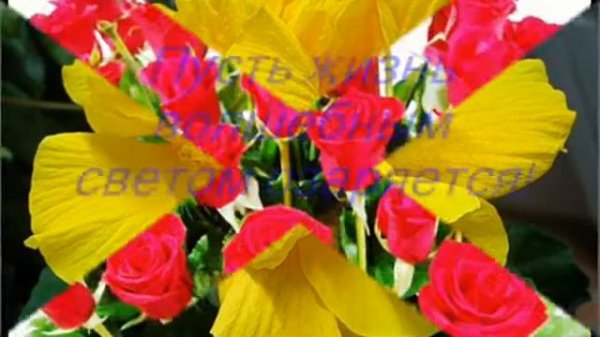 С Днем рождения, Татьянка!.wmv