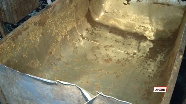 Под Ростовом закрыли ферму после массовой гибели скота смотреть онлайн