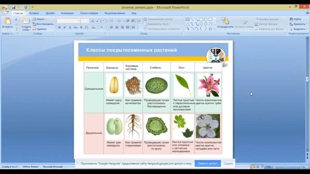 ОГЭ по биологии 9 класс. Занятие 12. Царство растения. Генеративные органы. смотреть онлайн