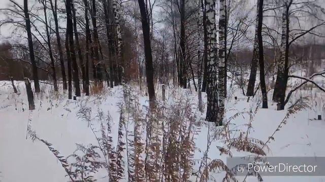 Прогулки на лыжах охотник 1 часть. Самодельные палки по насту. смотреть онлайн