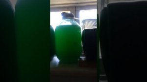 Размножил тетраселмис. Из полторашки в сорок литров.